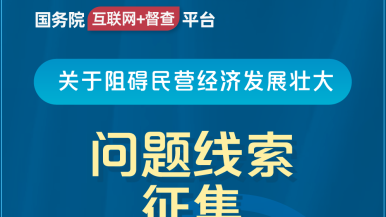 大鸡巴插入流水视频国务院“互联网+督查”平台公开征集阻碍民营经济发展壮大问题线索